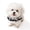 Grey, variant on Fashionable Protectors Comfortable Polyester Pet Head Cover Perfect For Daily Use And Adventure With Fit