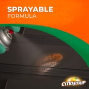 CitriStrip Paint & Varnish Stripper Aerosol, 17 oz.