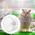 thumbnail image 1 of unbranded Silenciosa De Plástico Transparente Para Hámster Cobaya Y Pequeños Roedores, 1 of 6