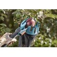thumbnail image 5 of Recogedor de fruta: práctica herramienta de recolección, adecuada para todos los mangos), 5 of 5