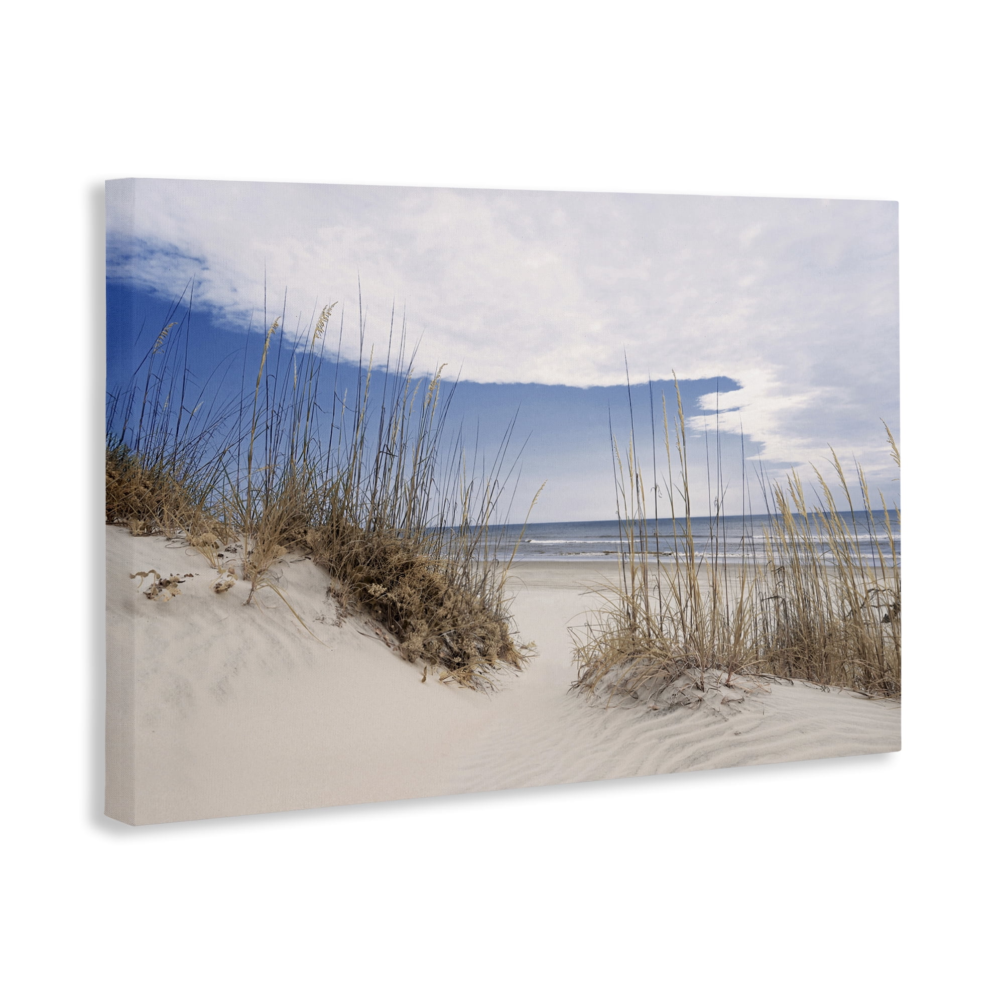 Stupell Industries Sea Oats Along Sandy Dunes Canvas Wall Art, design by Natalie Carpentieri