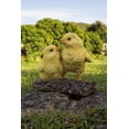 thumbnail image 1 of Estatua de jardín con forma de pollitos juguetones de Figuine Hi-Line Gift Ltd., 1 of 7
