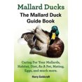 thumbnail image 1 of Mallard Ducks, 1 of 1