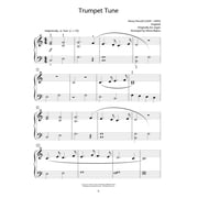 Classical Themes - Level 3 Piano Library Series Book Audio Online