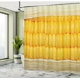 thumbnail image 5 of Ambesonne Food Art Shower Curtain, Corn Stem with Raindrops, 69"Wx84"L, Yellow and Cream, 5 of 5