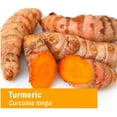 Herb Pharm Certified Organic Turmeric Root Extract for Musculoskeletal