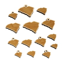 South Carolina State Silhouette Wood Mini Charms Shapes DIY Craft Jewelry - With Hole - 20mm (15pcs)