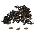 thumbnail image 4 of 100 Piezas de Forma Ova Macarena Remaches de garra de hierro Bronce, 4 of 8