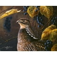 thumbnail image 2 of Goebel, Wilhelm 14x12 Black Ornate Wood Framed with Double Matting Museum Art Print Titled - Grouse And Grapes, 2 of 4