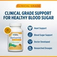 thumbnail image 4 of Doctors’ Preferred Berberine, Clinical Grade, for Blood Sugar Support, 63 Capsules, 4 of 14