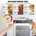 thumbnail image 4 of KFFKFF 10 Trays Food Dehydrator Machine Stainless Steel 800W Jerky Fruit Drying, 4 of 9