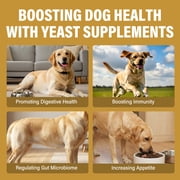 Yeast Infection Treatment For Dogs and Cats, Yeast Infection Drops For Dogs and Cats, 60ml