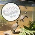 thumbnail image 4 of Recolector de excrementos de tortuga Contenedor de desechos de reptiles Suministros de limpieza de tanques para tortugas Blanco, 4 of 7