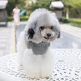 thumbnail image 4 of Pet Autumn Winter Sweater With Stereoscopic Pattern For Small And Medium Dogs Puppy Knitted Costume, 4 of 8