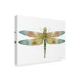 thumbnail image 2 of Trademark Fine Art 'Dragonfly Bliss 7' Canvas Art by Jean Plout, 2 of 3