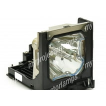 Eiki LC-XG100D Projector Lamp with Module