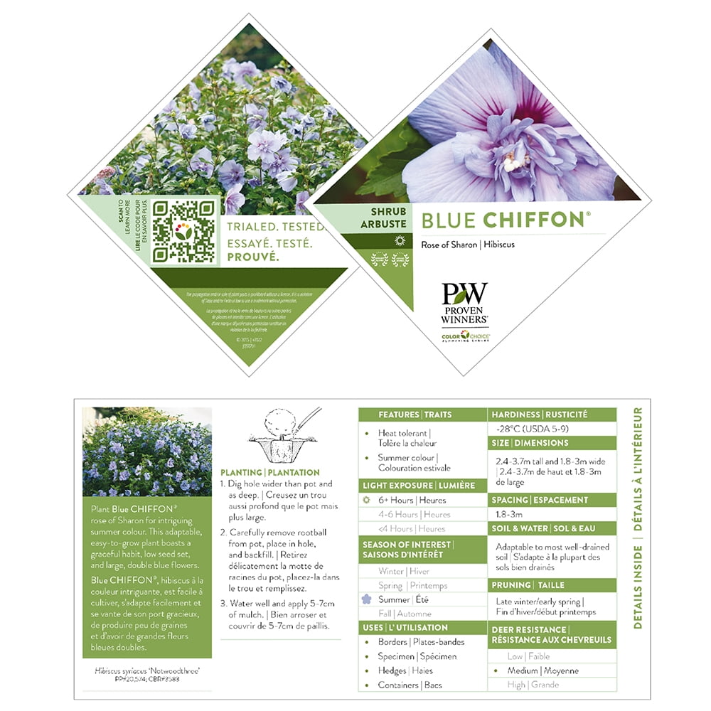 Proven Winners ColorChoice Blue Chiffon Hibiscus Live Shrub (2 Gallon)