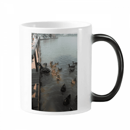 

Feed Swan Art Deco Fashion Mug Changing Color Cup Morphing Heat Sensitive 12oz