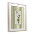 thumbnail image 4 of Striped Lily Of The Valley Birch Framed Print Under Glass, design by Lisa Wehmeyer, 4 of 10