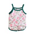 thumbnail image 2 of IFNND Toddler Girl Clothes, 2Pcs Baby Girl Summer Outfits Ruffle Sleeveless Shirts Floral Tops + Shorts Clothing Set 1-5T, 2 of 3