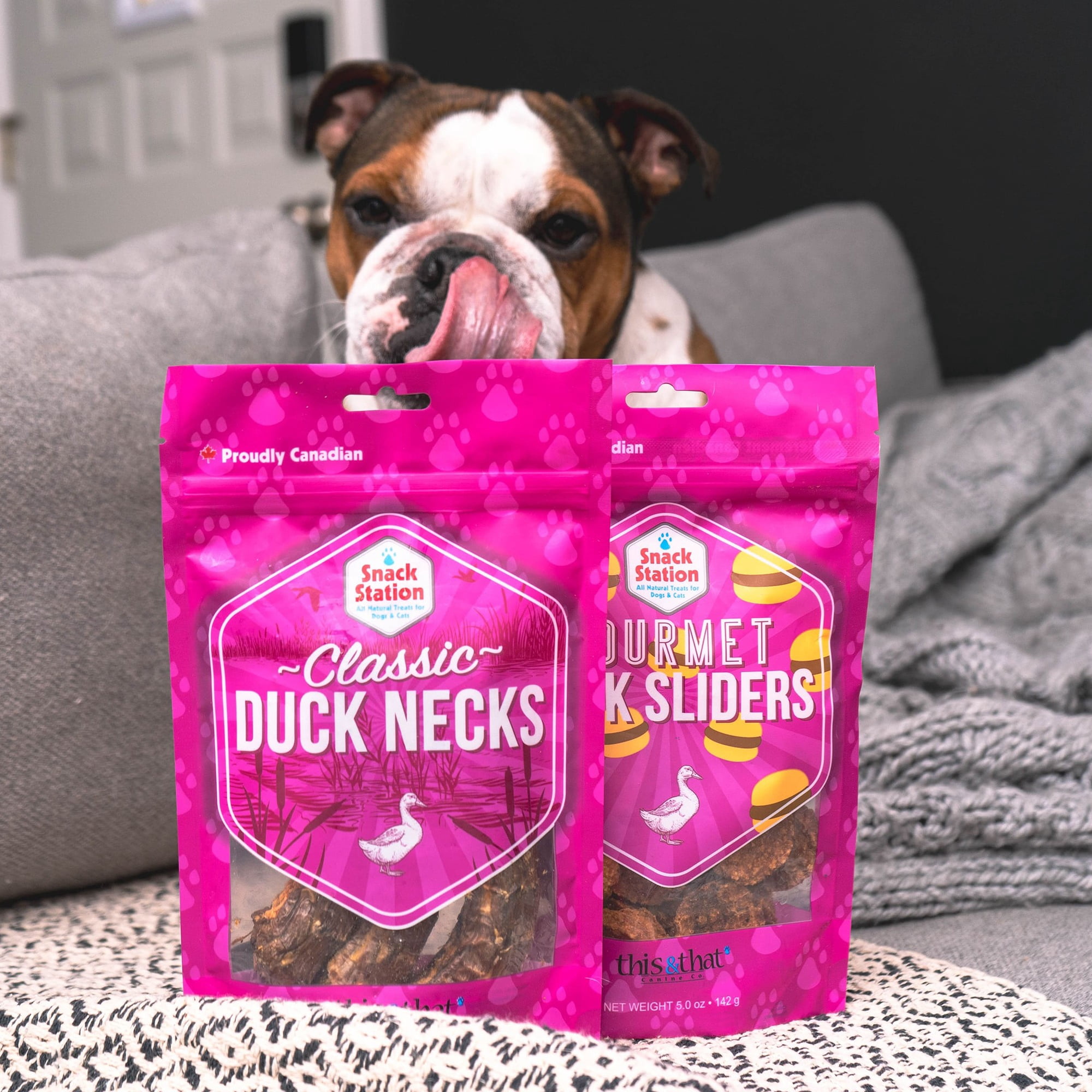 Snack Station: Gourmet Duck Sliders - 5 oz - Dehydrated Treats For Dogs & Cats, 2 Ingredients, Rewards & Training For Pets, This & That Canine Co