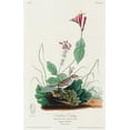 thumbnail image 2 of Audubon, John James 13x18 Black Ornate Wood Framed with Double Matting Museum Art Print Titled - Henslows Bunting, 2 of 4