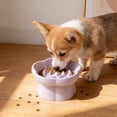 thumbnail image 7 of Yhmxh Elevated Slow Feeder Cat Bowl, Ceramic Flower Shaped Anti-Gulping Pet Food Bowl, Raised Non-Slip Cat Dish Small Dogs Slow Feeders Bowl for Dry & Wet Food, Whisker Friendly, 7 of 7