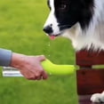 thumbnail image 4 of Tasse d'Accompagnement pour Chien Fontaine à Boire Extérieure (Gris), 4 of 4