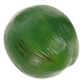 thumbnail image 3 of Modèle de Noix de Coco Simulées, Modèle de Fruit Tropical en Plastique, Accessoire Photo, 3 of 9