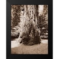 thumbnail image 2 of Watkins, Carleton 15x18 Black Modern Framed Museum Art Print Titled - Big Tree Felton (Redwood), Santa Cruz, California, 1880s, 2 of 5