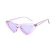 thumbnail image 1 of Lunettes de Soleil Rétro Il de Chat Dames Sexy Lunettes de Soleil Rétro Il de Chat Marque Designer Lunettes de Couleur Femme, 1 of 5