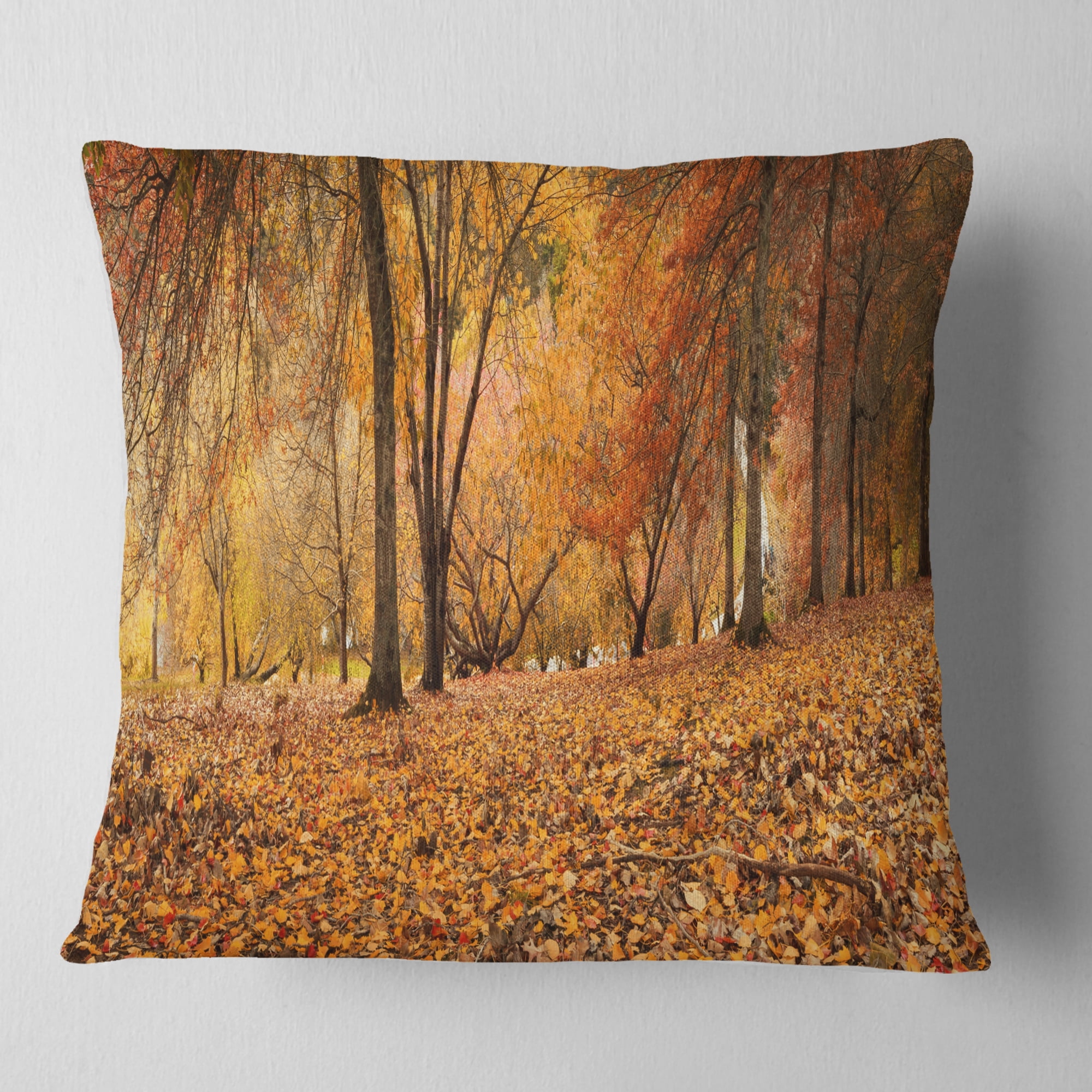 Designart Brown Autumn Panorama - Landscape Photography Throw Pillow - 16x16