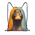 thumbnail image 1 of Saiise Colorful Painted Duck Pattern Sports Drawstring Backpack - String Swim Gym Bag with Wet Proof Pocket for Women&Men-Medium, 1 of 6