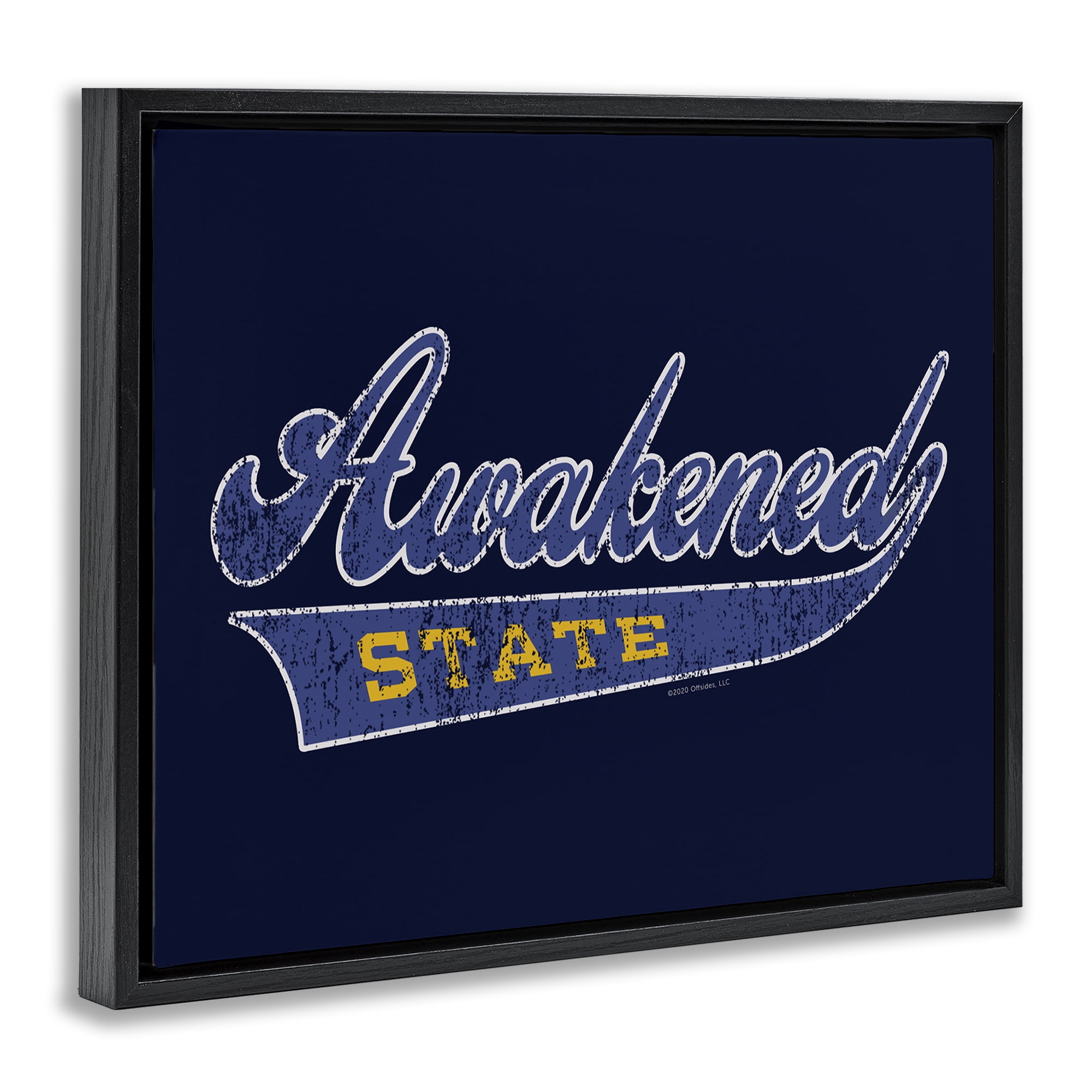 Stupell Industries Awakened State Varsity Novelty & Humor Painting Black Floater Framed Canvas Art Print Wall Art, 21 x 17