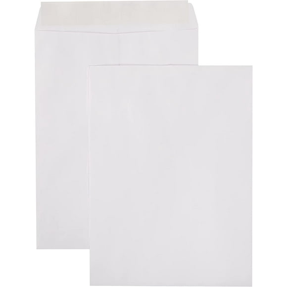basicBasics Catalogue Enveloppes Postales, Pelure et Sceau, 9 X 12 Pouces, Blanc, 100-Pack - AMZP15