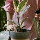 thumbnail image 1 of QUMIIRITY 10Ud Flexible Plastic Plant Stakes with Clips for Indoor and Outdoor Flower Support, 1 of 7