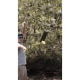 thumbnail image 3 of RocketSlug Fishing Lure Retriever. A revolutionary new product for retrieving snagged lures!, 3 of 8