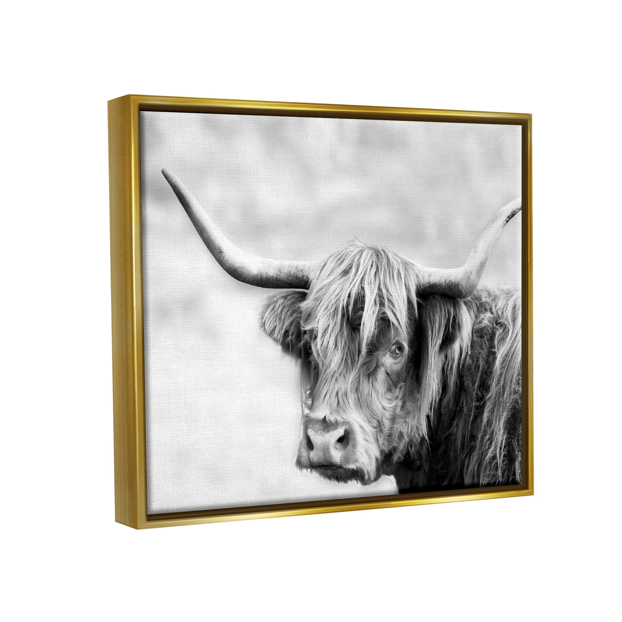 Stupell Industries Bold Country Cattle Black White Photography Wild Animal Metallic Gold Framed Floating Canvas Wall Art, 24x30, by Danita Delimont