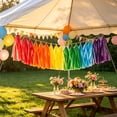 thumbnail image 5 of Colorful Paper Tassel Garland - 5 Color Options | 32 x 24cm (12.6 x 9.4in) | Perfect for Birthday, Baby Shower, Wedding Decor, 5 of 6