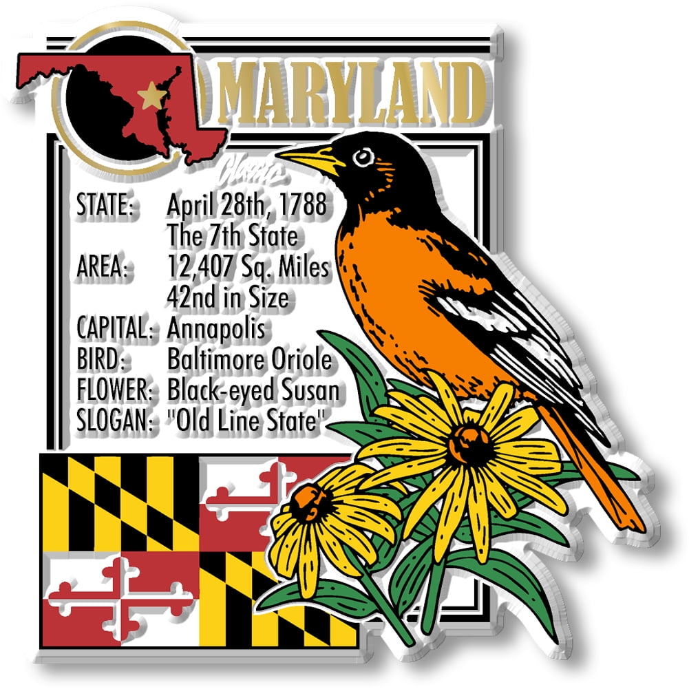 Maryland Six-Piece State Magnet Set by Classic Magnets, Includes 6