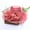 A2 Watermelon Red, variant on Women Derby Fascinator Hat Fancy Hats Foldable Floral Mesh Hats for Ladies Girl Flower Hat Sun Hats Classy Derby Hats Wedding Hats Derby Day Hats Equestrian Derby Cap Women Beige