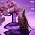 thumbnail image 2 of Set trío de eau de parfum Euphoria Elixir de Perfume de Calvin Klein, 2 of 4