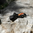 thumbnail image 4 of 2Pcs Durable No Damage to Material Tent Clips for Fishing 11.8X3.9X1.6In, 4 of 9