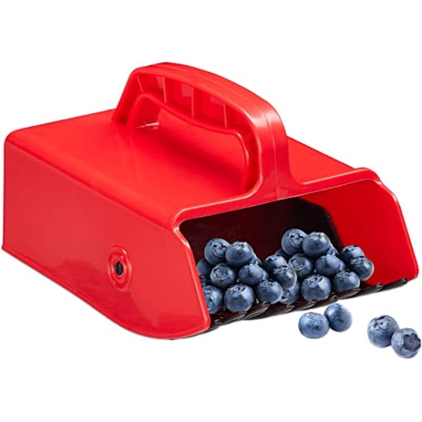 Jinsinto Blueberry Comb, Plastic, Fruit Picker for Currants ...