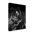 thumbnail image 4 of Trademark Fine Art Alex Zhao The King Canvas Wall Art, 4 of 4