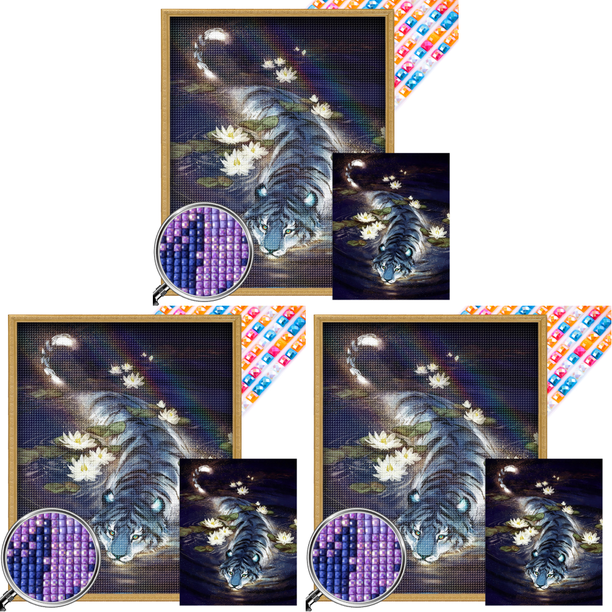 Kit 5D DIY Con Cuentas Cuadradas Completas Taladro AB Parcial 45x55cm