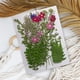 thumbnail image 5 of Advancent Artesanía de flores secas naturales Flores prensadas Ramos en relieve Decoración para tarjetas de boda Pintura de álbum de recortes Flores artificiales Typ 1 Advancent HA010760-01, 5 of 6