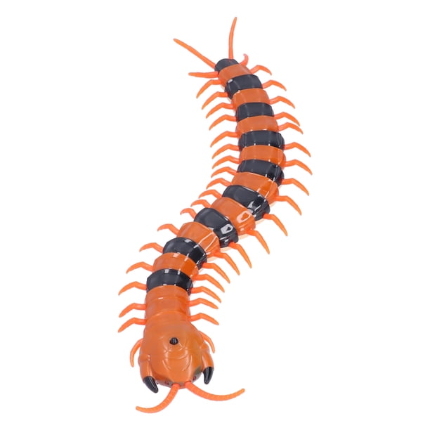 Juguete A Control Remoto Scolopendra De Ciempiés Falso Infra | Cuotas