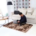 thumbnail image 2 of Labymos Alfombra moderna ultrasuave para interiores, alfombras, 2 of 8
