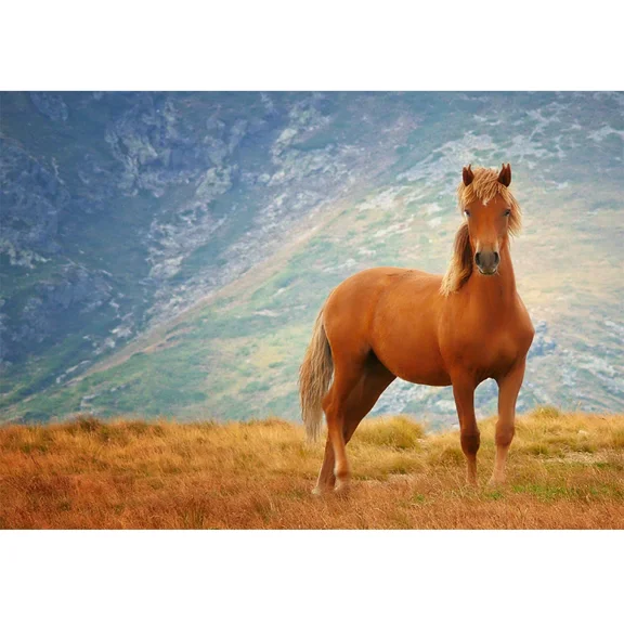 Photography Background Grassland Blue Sky Cloudy Running Horse Childr Photocall Backdrop Photoz for Photo Studio